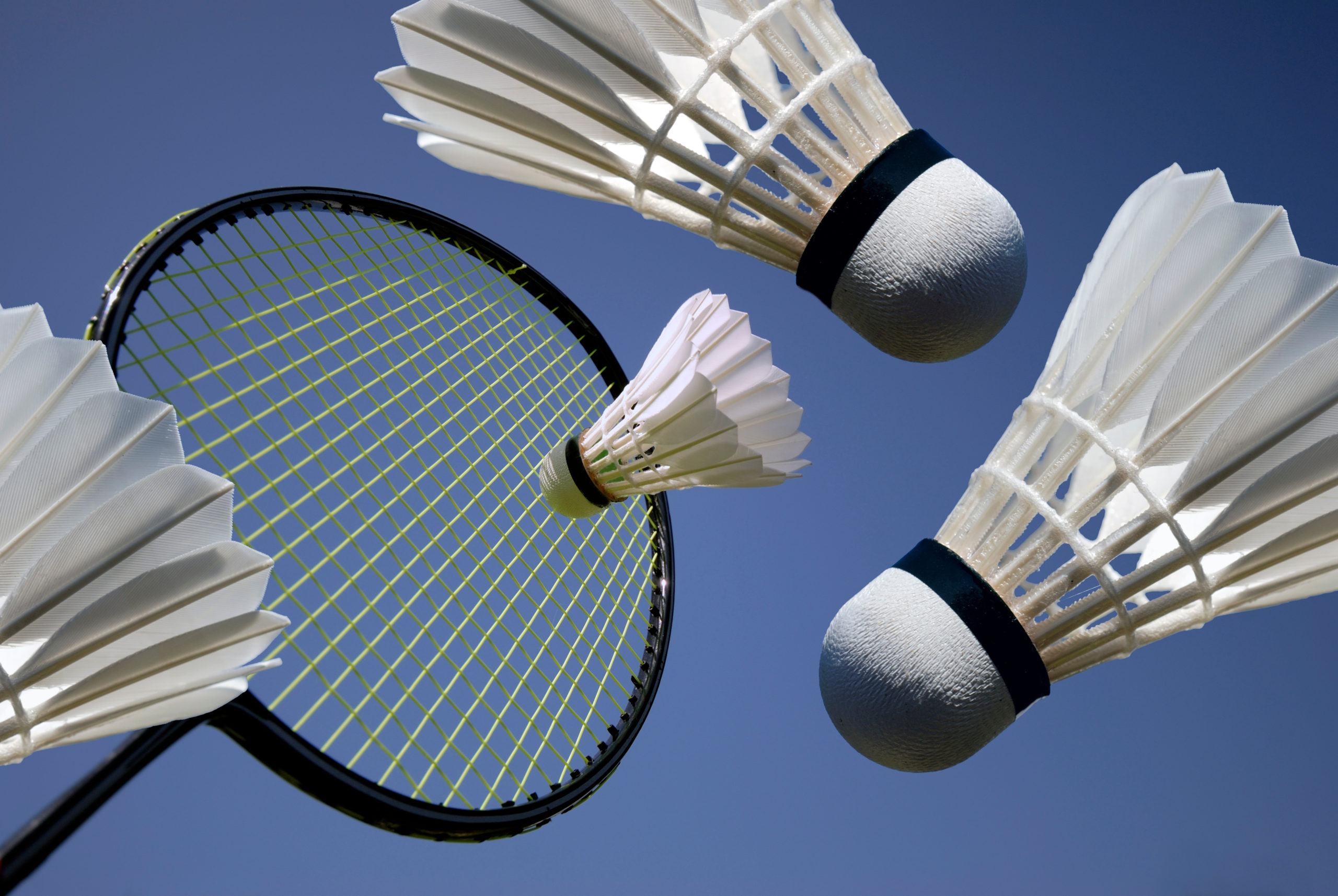 Volants de badminton en plumes de canard pour la pratique, 3